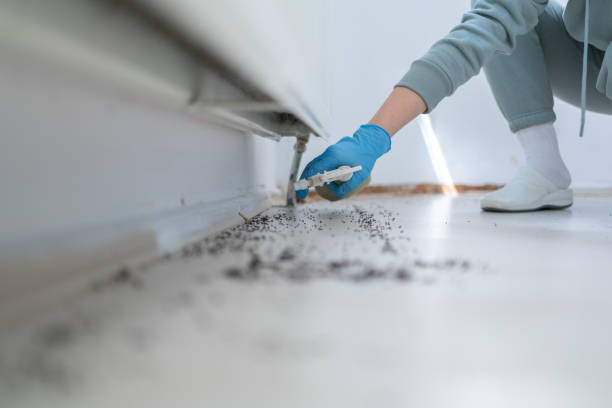 Best Best Pest Control Companies  in Ramapo College Of New Jersey, NJ